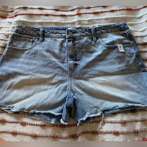 Time and Tru Denim Shorts Size 20